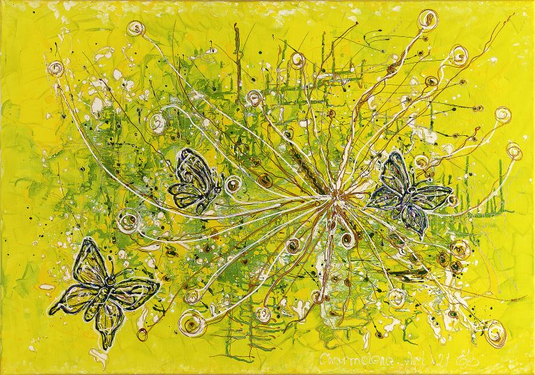 IMG 2960 A 1920 768x538